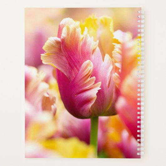 Sluiten Tulips Planner (Achterkant)