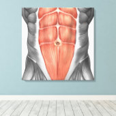 Sluiten Uitzicht van de buikspieren bij mannen Canvas Afdruk (Insitu (Houten vloer))