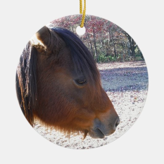 Sluiten van bruin paard, Little Brown Pony Keramisch Ornament (Voorkant)