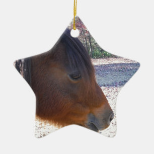 Sluiten van bruin paard, Little Brown Pony Keramisch Ornament