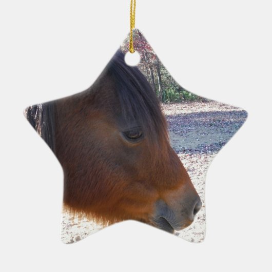 Sluiten van bruin paard, Little Brown Pony Keramisch Ornament (Voorkant)