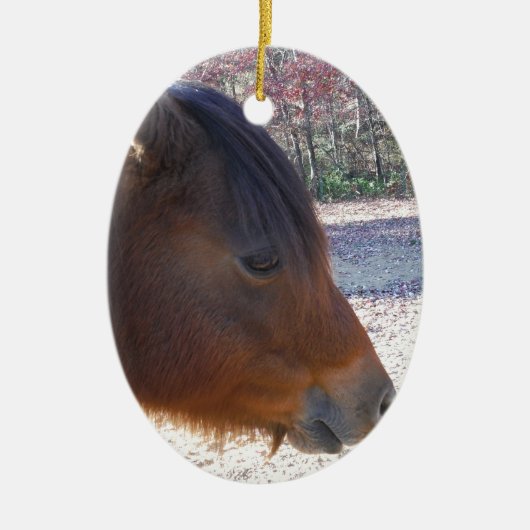 Sluiten van bruin paard, Little Brown Pony Keramisch Ornament (Voorkant)