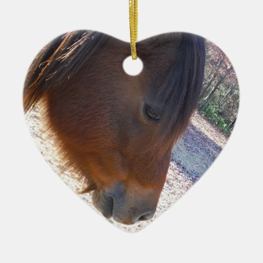 Sluiten van bruin paard, Little Brown Pony Keramisch Ornament (Voorkant)