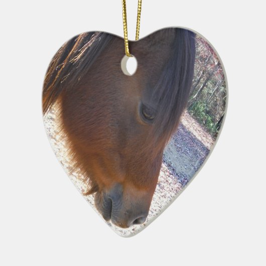 Sluiten van bruin paard, Little Brown Pony Keramisch Ornament (Links)