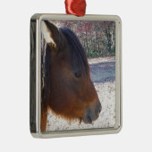 Sluiten van bruin paard, Little Brown Pony Metalen Ornament (Rechts)