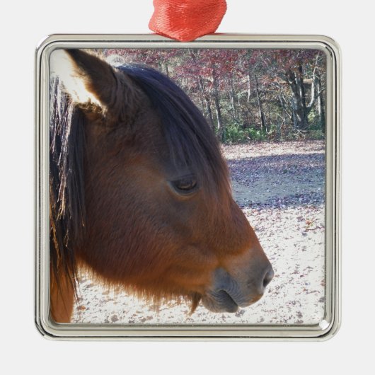 Sluiten van bruin paard, Little Brown Pony Metalen Ornament (Voorkant)