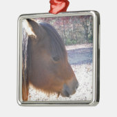 Sluiten van bruin paard, Little Brown Pony Metalen Ornament (Links)