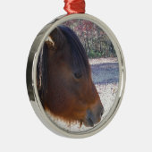 Sluiten van bruin paard, Little Brown Pony Metalen Ornament (Rechts)