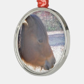 Sluiten van bruin paard, Little Brown Pony Metalen Ornament (Links)