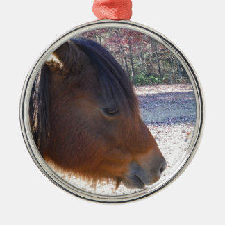 Sluiten van bruin paard, Little Brown Pony Metalen Ornament