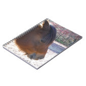 Sluiten van bruin paard, Little Brown Pony Notitieboek (Linkerzijde)