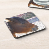 Sluiten van bruin paard, Little Brown Pony Onderzetter (Linkerzijde)