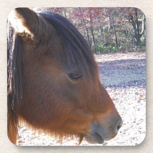 Sluiten van bruin paard, Little Brown Pony Onderzetter (Voorkant)