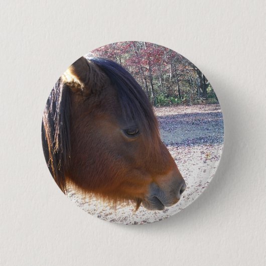 Sluiten van bruin paard, Little Brown Pony Ronde Button 5,7 Cm (Voorkant)