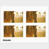 Sluiten van bruine paarden rechthoekige sticker (Vel)