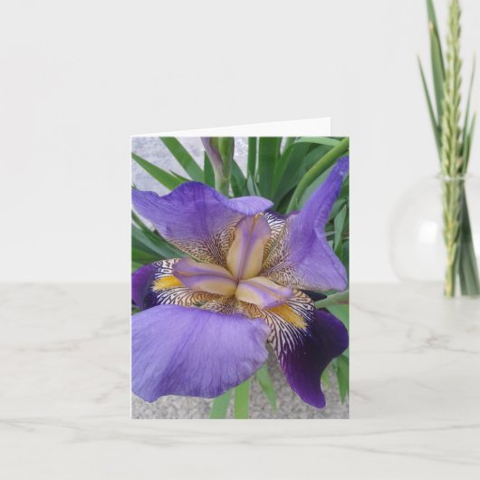 Sluiten van de Blooming Iris Flower Kaart (Voorkant)