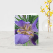 Sluiten van de Blooming Iris Flower Kaart (Gele Bloem)