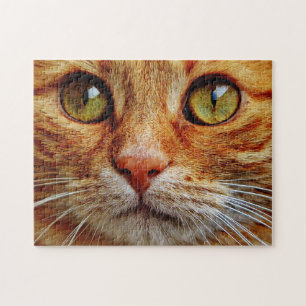 Sluiten van de Oranje Tabby Cat Eyes Legpuzzel
