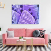 Sluiten van Diatomfrustulae (Mlychenensis) Canvas Afdruk (Insitu (Woonkamer))