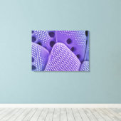 Sluiten van Diatomfrustulae (Mlychenensis) Canvas Afdruk (Insitu (Houten vloer))