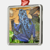 Sluiten van een blauw-poisdart kikker metalen ornament (Links)