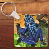 Sluiten van een blauw-poisdart kikker sleutelhanger (Voorkant)