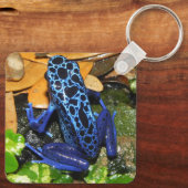 Sluiten van een blauw-poisdart kikker sleutelhanger (Achterkant)