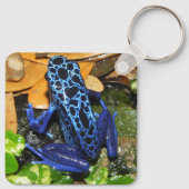 Sluiten van een blauw-poisdart kikker sleutelhanger (Achterkant)