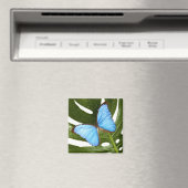 Sluiten van een Blauwe Morpho Butterfly op een pal Magneet (Insitu (Vaatwasser))