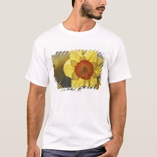 Sluiten van een Geel/Oranje Daffodil T-shirt (Voorkant)