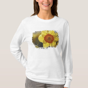 Sluiten van een Geel/Oranje Daffodil T-shirt