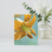 Sluiten van een gele Lily Briefkaart (Staand voorkant)