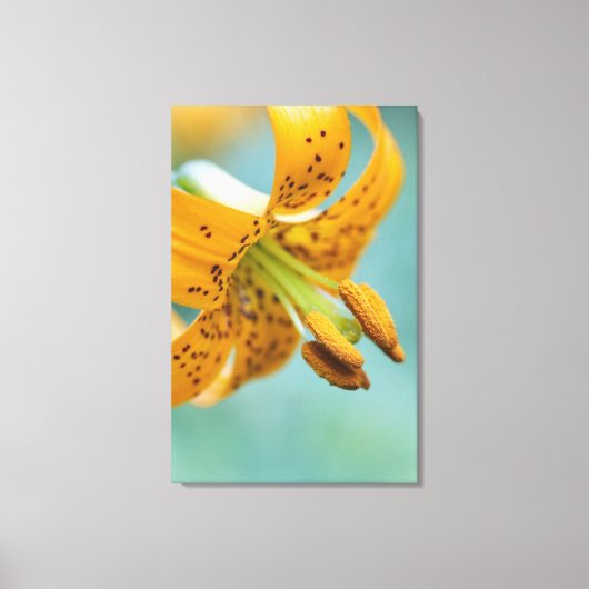 Sluiten van een gele Lily Canvas Afdruk (Voorkant)