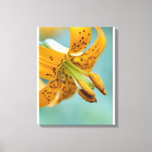 Sluiten van een gele Lily Canvas Afdruk (Voorkant)