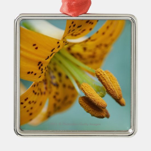 Sluiten van een gele Lily Metalen Ornament (Voorkant)