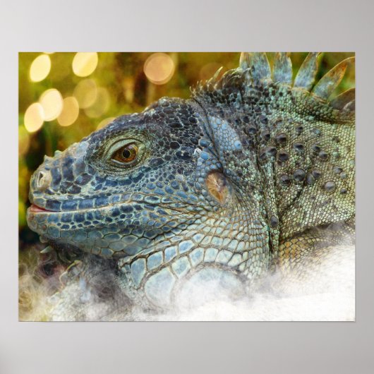 Sluiten van een grote, scalygreen Iguana hagedis Poster (Voorkant)