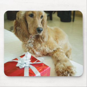 Sluiten van een hond met een cadeau muismat