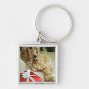 Sluiten van een hond met een cadeau sleutelhanger