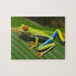 Sluiten van een kikker van de Rode Oogboom op een  Legpuzzel