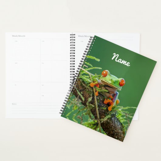 Sluiten van een kikker van de Rode Oogboom Planner (Display)