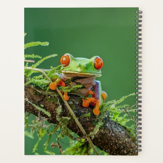 Sluiten van een kikker van de Rode Oogboom Planner (Achterkant)