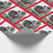 Sluiten van een paard cadeaupapier (Hoek)