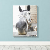 Sluiten van een paard canvas afdruk (Insitu (Houten vloer))