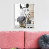 Sluiten van een paard canvas afdruk (Insitu (Woonkamer))