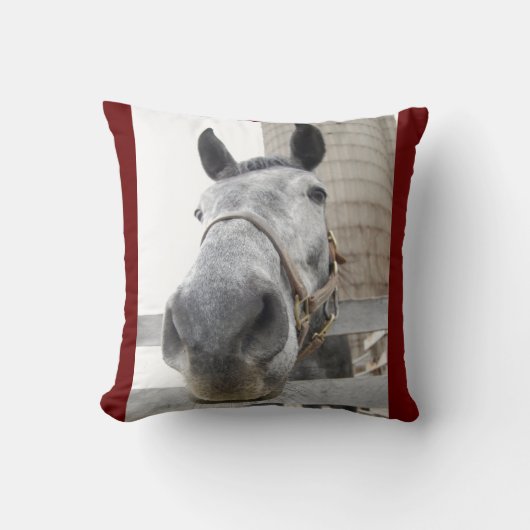 Sluiten van een paard kussen (Voorkant)