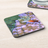 Sluiten van een vuurpijlvis, Okinawa, Japan Onderzetter (Linkerzijde)