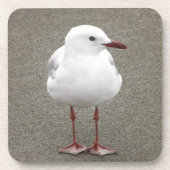 Sluiten van een zeemeeuw bier onderzetter (Voorkant)