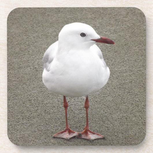 Sluiten van een zeemeeuw bier onderzetter (Voorkant)