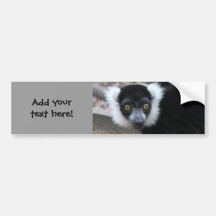 Sluiten van een zwarte en witte rode Lemur Bumpersticker