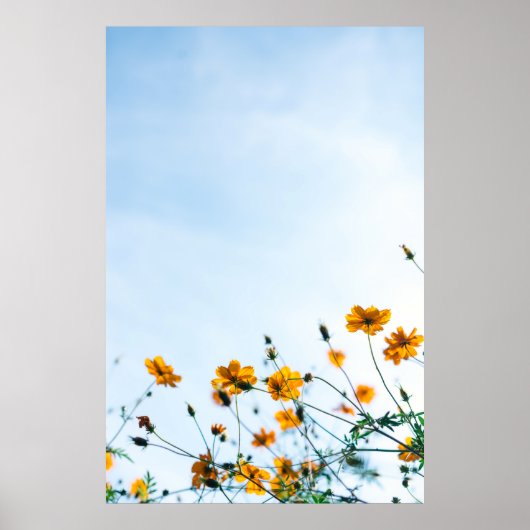 Sluiten van gele bloemen poster (Voorkant)